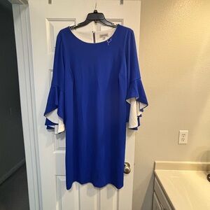 Elegant Blue Ruffle Sleeve Dress